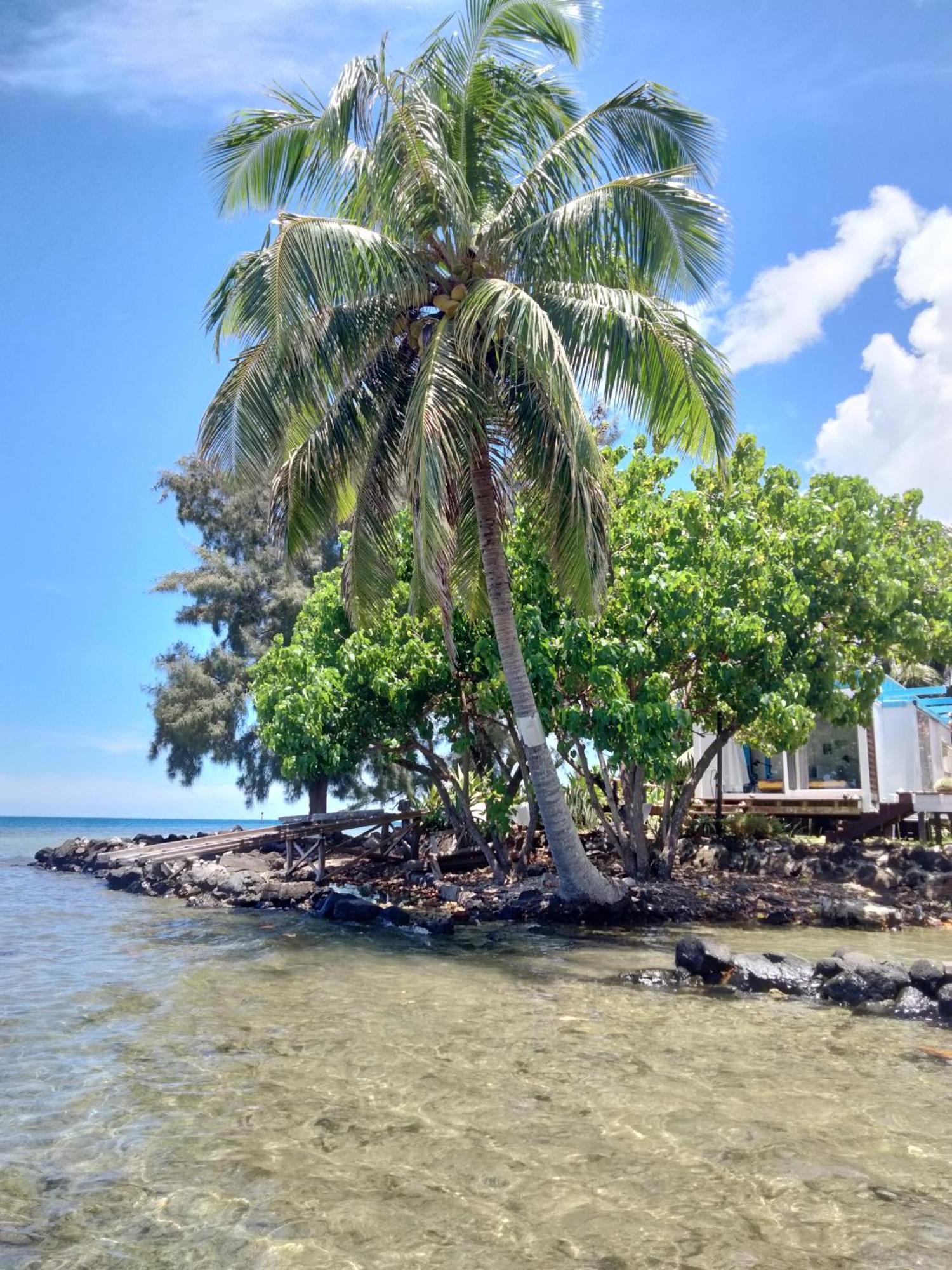 Bungalow Vue Lagon 180 Degre, La Maison Bleue موريا المظهر الخارجي الصورة
